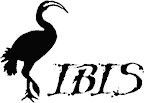Logo ibis e.V.